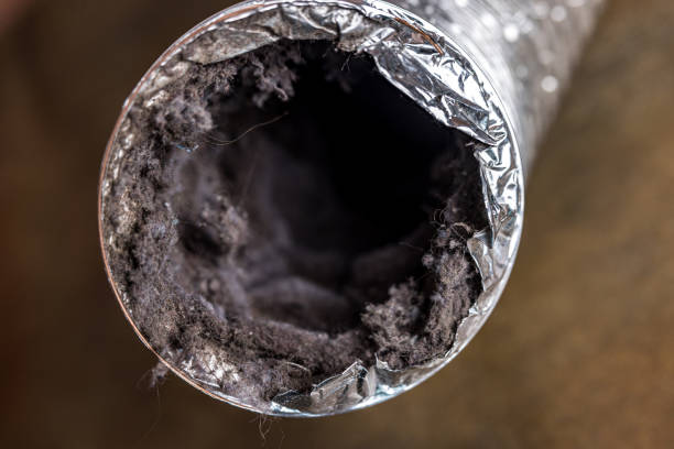 Best Professional Duct Cleaning Services  in Loris, SC